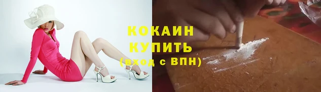 дмт Арсеньев