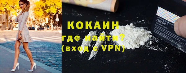 дмт Арсеньев