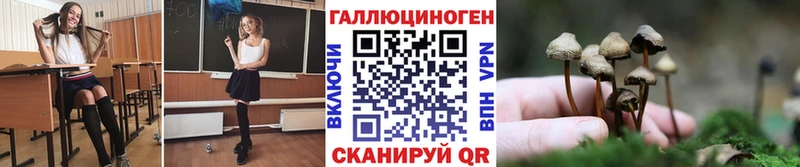 Псилоцибиновые грибы прущие грибы  Приозерск 